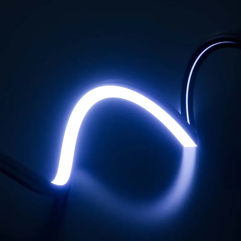 PERFECT Dream Color Led Neon S - огляд і ціна Outdoor Lighting Ip65